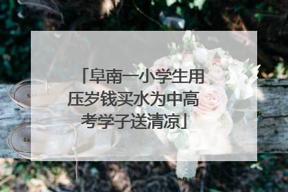阜南一小学生用压岁钱买水为中高考学子送清凉