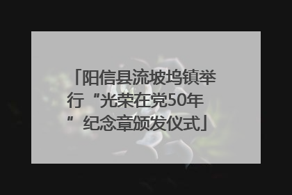 阳信县流坡坞镇举行“光荣在党50年”纪念章颁发仪式