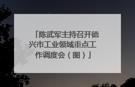 陈武军主持召开德兴市工业领域重点工作调度会（图）