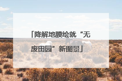 降解地膜绘就“无废田园”新图景