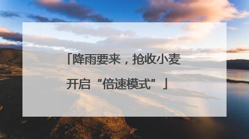 降雨要来，抢收小麦开启“倍速模式”