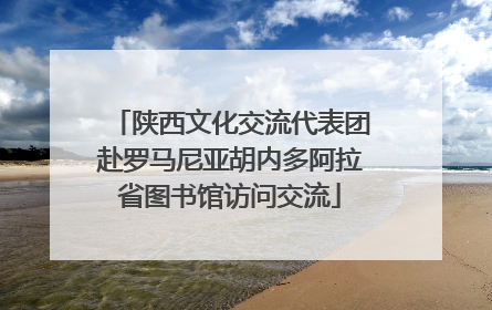 陕西文化交流代表团赴罗马尼亚胡内多阿拉省图书馆访问交流