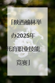 陕西榆林举办2025年托育职业技能竞赛