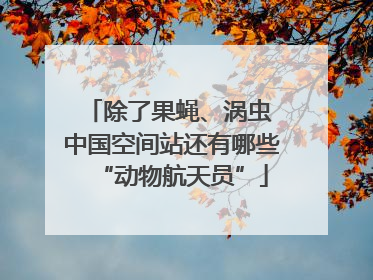 除了果蝇、涡虫 中国空间站还有哪些“动物航天员”