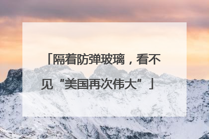 隔着防弹玻璃，看不见“美国再次伟大”