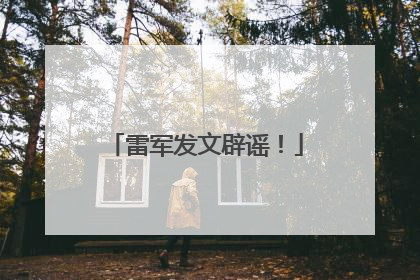 雷军发文辟谣！