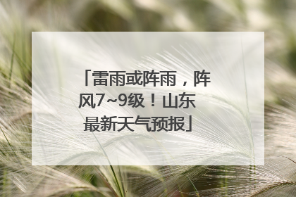 雷雨或阵雨，阵风7~9级！山东最新天气预报