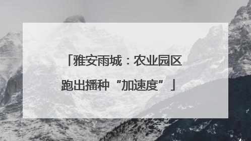 雅安雨城：农业园区跑出播种“加速度”