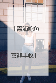 霞浦鲍鱼喜迎丰收