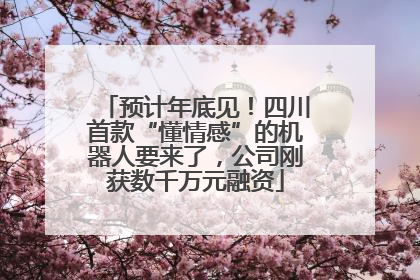 预计年底见！四川首款“懂情感”的机器人要来了，公司刚获数千万元融资