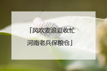 风吹麦浪夏收忙 河南老兵保粮仓