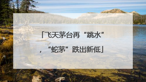 飞天茅台再“跳水”，“蛇茅”跌出新低