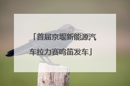 首届京堰新能源汽车拉力赛鸣笛发车