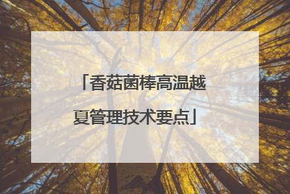香菇菌棒高温越夏管理技术要点
