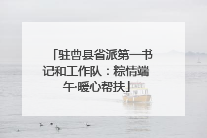 驻曹县省派第一书记和工作队：粽情端午·暖心帮扶