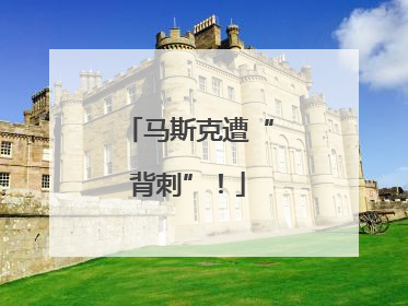 马斯克遭“背刺”！