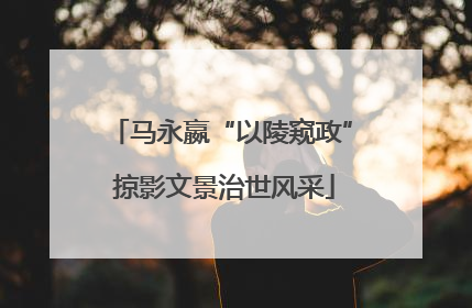 马永嬴“以陵窥政” 掠影文景治世风采