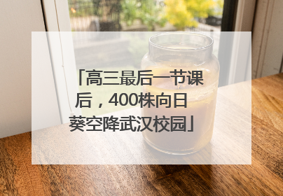 高三最后一节课后，400株向日葵空降武汉校园