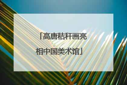 高唐秸秆画亮相中国美术馆