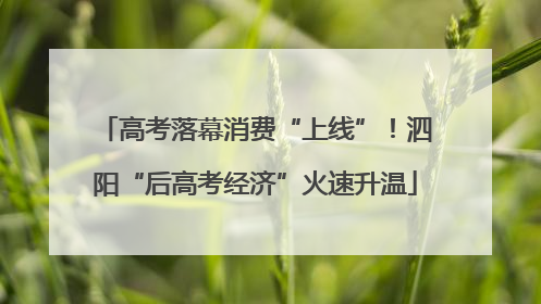 高考落幕消费“上线”！泗阳“后高考经济”火速升温