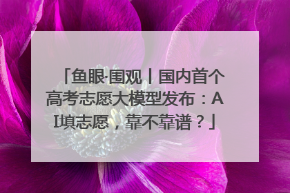鱼眼·围观丨国内首个高考志愿大模型发布：AI填志愿，靠不靠谱？