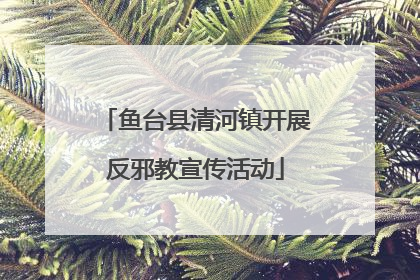鱼台县清河镇开展反邪教宣传活动