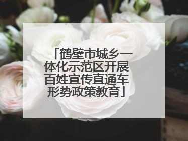 鹤壁市城乡一体化示范区开展百姓宣传直通车形势政策教育