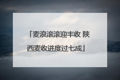 麦浪滚滚迎丰收 陕西麦收进度过七成