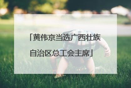 黄伟京当选广西壮族自治区总工会主席