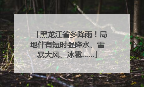 黑龙江省多降雨！局地伴有短时强降水、雷暴大风、冰雹……