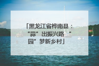黑龙江省桦南县：“蒜”出振兴路 “园”梦新乡村