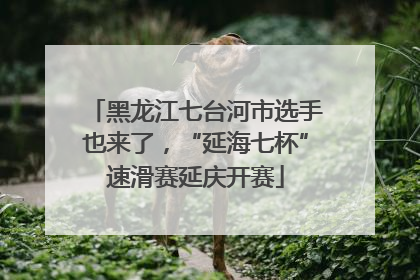 黑龙江七台河市选手也来了，“延海七杯”速滑赛延庆开赛