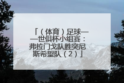 （体育）足球——世俱杯小组赛：弗拉门戈队胜突尼斯希望队（2）