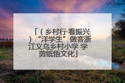 （乡村行·看振兴）“洋学生”做客浙江义乌乡村小学 学剪纸悟文化
