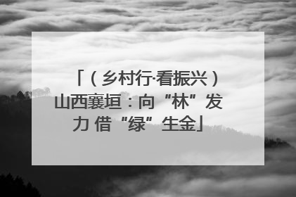 （乡村行·看振兴）山西襄垣：向“林”发力 借“绿”生金