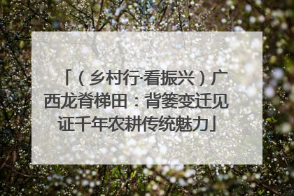 （乡村行·看振兴）广西龙脊梯田：背篓变迁见证千年农耕传统魅力