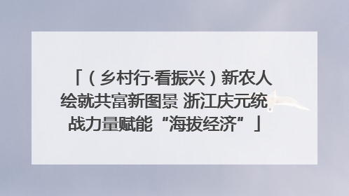 （乡村行·看振兴）新农人绘就共富新图景 浙江庆元统战力量赋能“海拔经济”