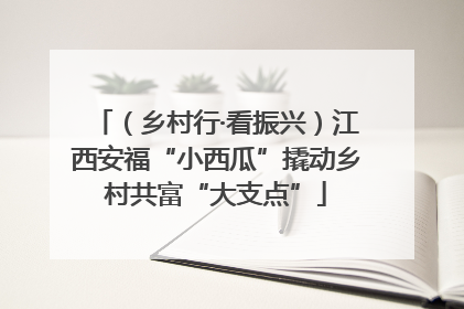 （乡村行·看振兴）江西安福“小西瓜”撬动乡村共富“大支点”