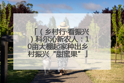 （乡村行·看振兴）科尔沁新农人：10亩大棚起家种出乡村振兴“甜蜜果”