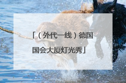 （外代一线）德国国会大厦灯光秀