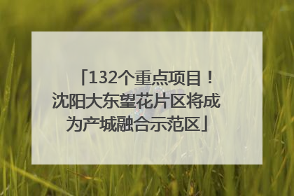 132个重点项目！沈阳大东望花片区将成为产城融合示范区