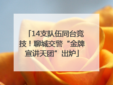 14支队伍同台竞技！聊城交警“金牌宣讲天团”出炉