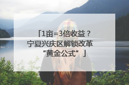 1亩=3倍收益？宁夏兴庆区解锁改革“黄金公式”