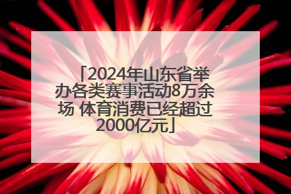 2024年山东省举办各类赛事活动8万余场 体育消费已经超过2000亿元