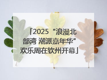 2025“浪漫北部湾 潮派嘉年华”欢乐周在钦州开幕
