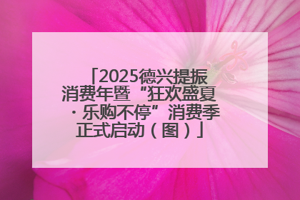 2025德兴提振消费年暨“狂欢盛夏・乐购不停”消费季正式启动（图）