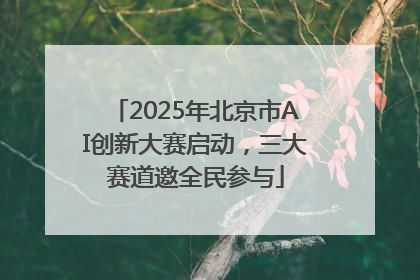 2025年北京市AI创新大赛启动，三大赛道邀全民参与