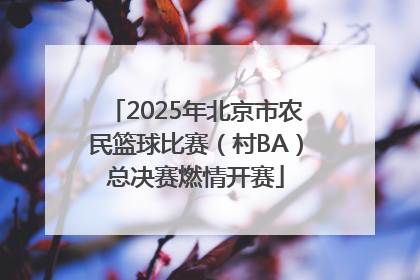 2025年北京市农民篮球比赛（村BA）总决赛燃情开赛