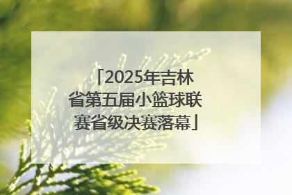 2025年吉林省第五届小篮球联赛省级决赛落幕