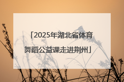 2025年湖北省体育舞蹈公益课走进荆州